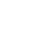 SHKERTIK LOGO